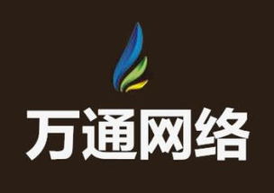 計(jì)算機(jī)技術(shù)服務(wù)綜合解決方案 從開(kāi)發(fā)到集成與銷售