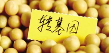 福特座椅大豆造，車內(nèi)異味的“真兇”究竟是誰？